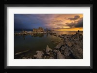 Transition Fine Art Print