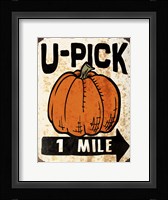 U-Pick Pumpkin Fine Art Print