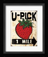 U-Pick Strawberry Framed Print