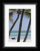 Dog Beach Fine Art Print