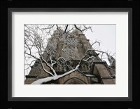 Branch Snow Cathedral 9688 Fine Art Print