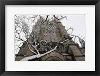 Branch Snow Cathedral 9688 Fine Art Print