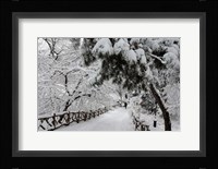 Central Park Path Deep Snow Framed Print
