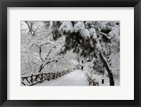 Central Park Path Deep Snow Fine Art Print