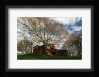 Early Spring Tree Barn Fine Art Print