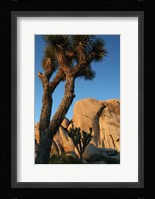 Joshua Tree Vertical Fine Art Print