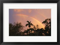 Rainbow Palms Fine Art Print