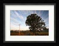 Tree Pole Road Sky 3329 Fine Art Print