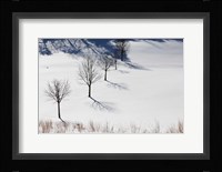 Winter Field Silhouettes Fine Art Print
