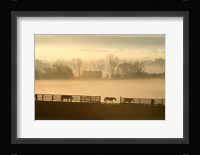 Blue Chip Horse Farm Golden Morning Fine Art Print