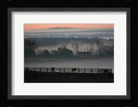 Horse Farm Rose Dawn Framed Print