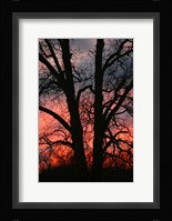 November Sunset Vertical Fine Art Print