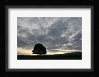 Sunset Silhouette Tree Fine Art Print