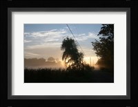 Willows Morning Road Fine Art Print