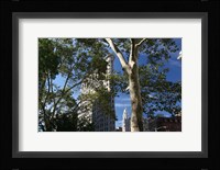 Flatiron Building With Trees Framed Print