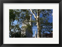 Flatiron Building With Trees Framed Print