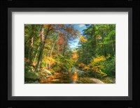 Autumn Brook Fine Art Print