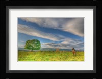 Big Sky Paddock Fine Art Print