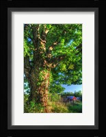 Butterville Road Vertical Fine Art Print