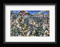 Cherry Blossom Barn Fine Art Print