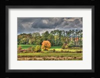 Drak Sky Shiningtree Fine Art Print