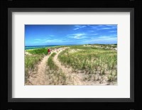 Dune Walker Fine Art Print