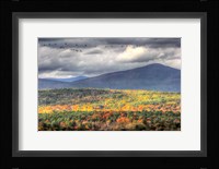 Flying South Fine Art Print