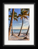 Four Palm Hammock Fine Art Print