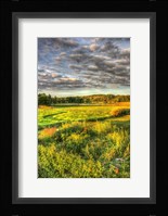 Garden Views Fine Art Print