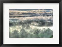 Gray Mist Fine Art Print
