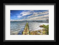 Green Pier And Sea Grass Fine Art Print