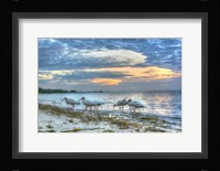 Ibis At Sunrise Fine Art Print