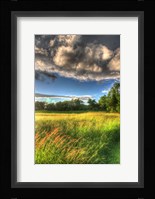 Late Afternoon Field Fine Art Print