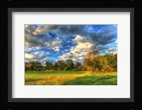 Late Summer Light Fine Art Print