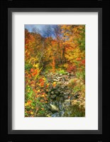 Low Water Brook Autumn Fine Art Print