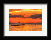 Old Pier And Gull After Sunset Fine Art Print