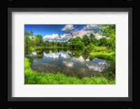 Summer Pond Fine Art Print