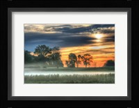 Sunrise Meadow Fine Art Print