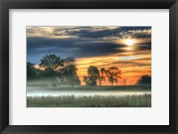 Sunrise Meadow Fine Art Print
