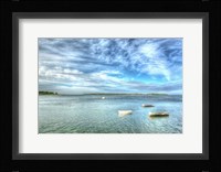 Three Dinks Horizontal Fine Art Print