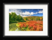 Whitecliffs Fine Art Print