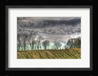 Autumn Grey Sky And Geese Fine Art Print