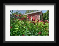 Barn And Minarda 1 Fine Art Print