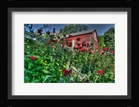 Barn And Minarda 3 Fine Art Print