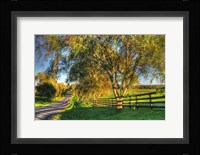 BC Willow Road Fine Art Print