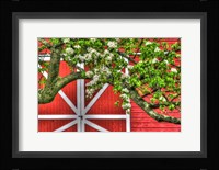 Butterville Barn Fine Art Print