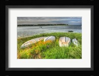 CC Boats And Bulkhead Fine Art Print