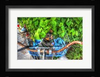 Dog In Basket Fine Art Print