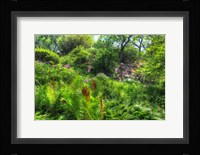 Garden Hillside Fine Art Print