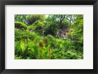 Garden Hillside Fine Art Print